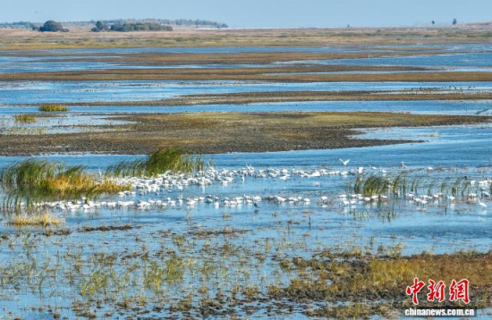 1016գĪĪ(gu)Ҽ(j)Ȼo(h)^(q)(ni)ڑˮ(o(w)˙C(j)Ƭ)w z