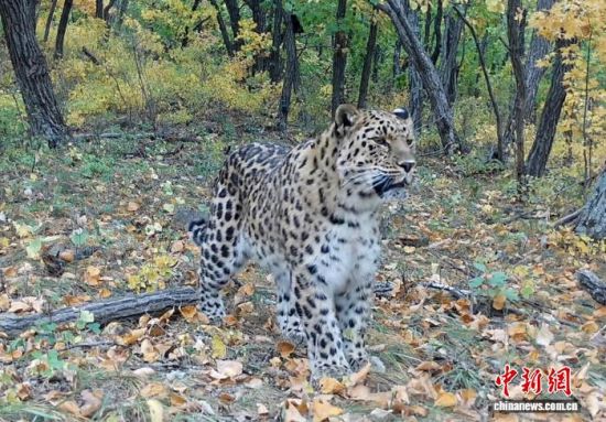 2025ږ|ҹ@ĔzĖ|(ҕýD)