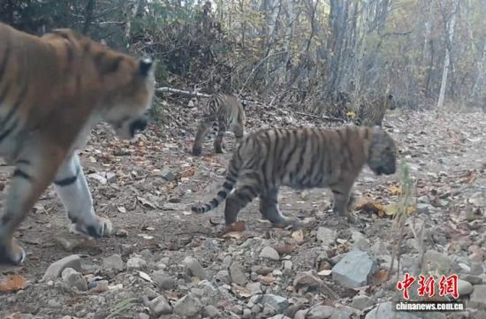 2025ږ|ҹ@ĔzĖ|(ҕýD)